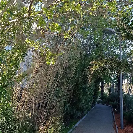 Apartment - Acces - Ascenseur - Parking - Fr-1-308-207 Le Lavandou