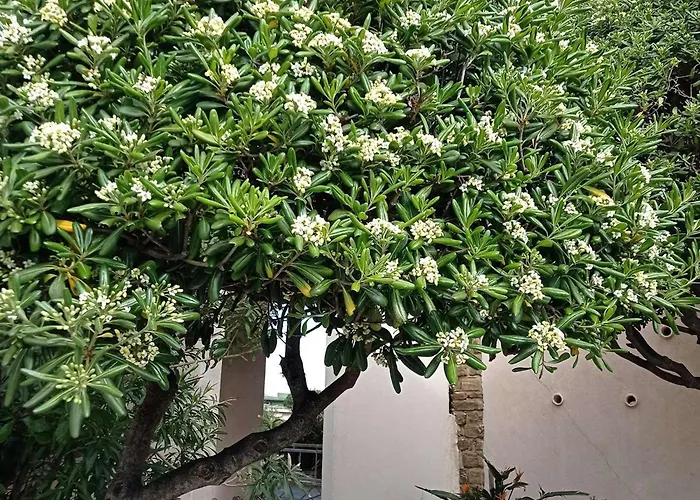 - Acces - Ascenseur - Parking - Fr-1-308-207 *