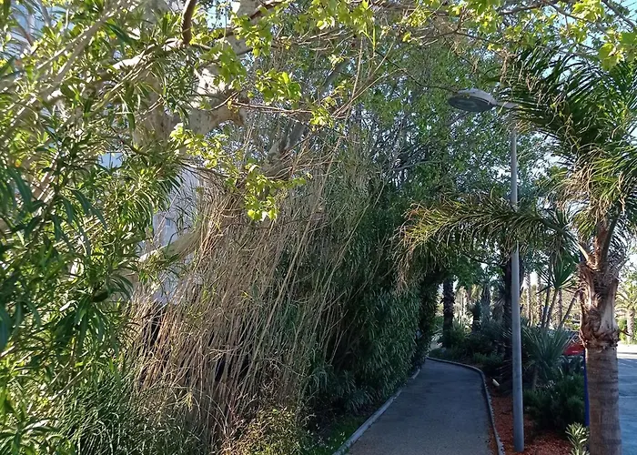 Lägenhet - Acces - Ascenseur - Parking - Fr-1-308-207 Le Lavandou